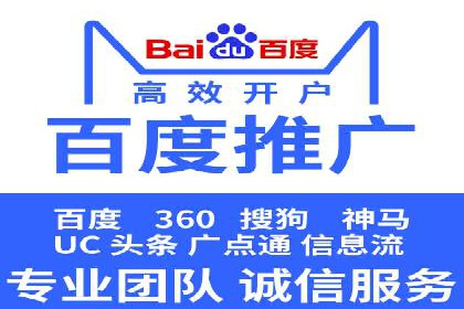 顶尖SEM竞价代运营公司案例分析